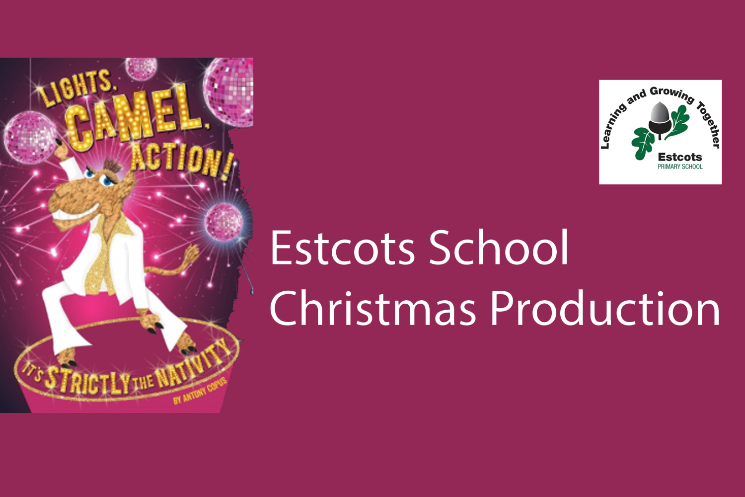 Estcots School – Lights, Camel, Action!